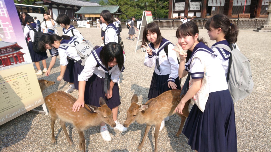 DSC_0001_BURST20190911145212654-3456x1944